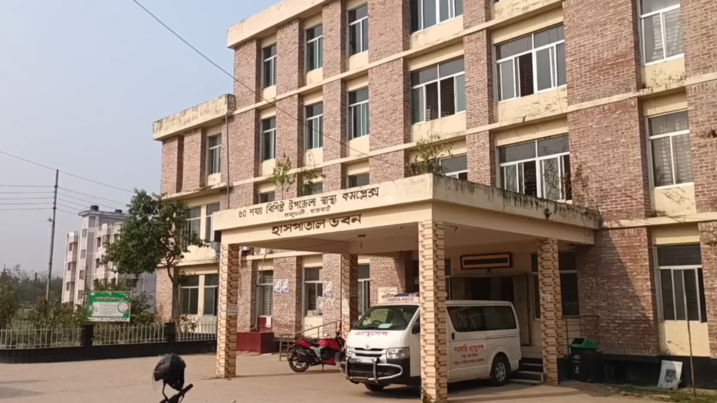 রাজবাড়ীতে নিয়ন্ত্রণ হারিয়ে খাদে নছিমন, গরু ব্যবসায়ী নিহত