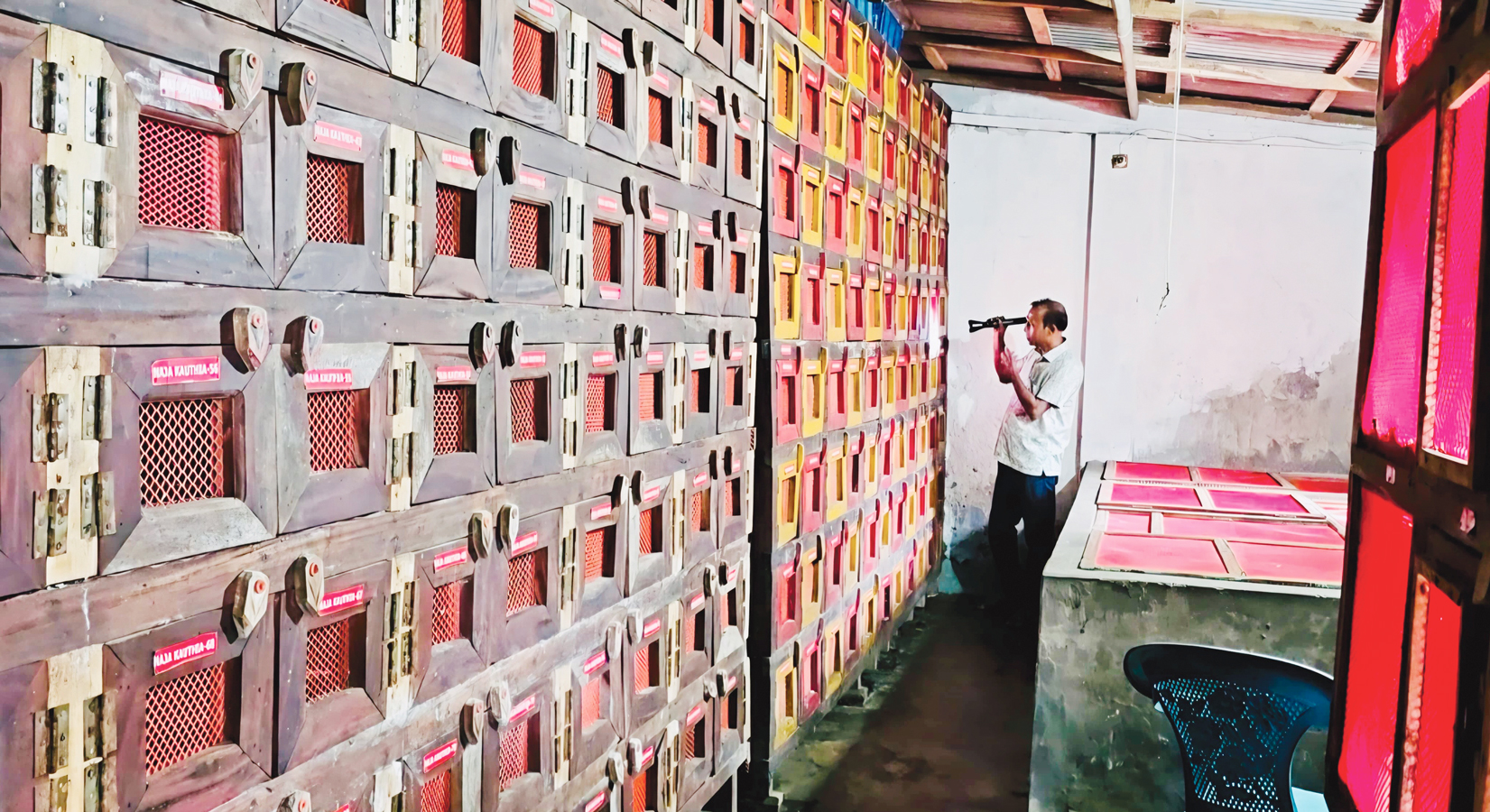 বিশ্ব সাপ দিবস: অ্যান্টিভেনম পেতে সাপের চাষ