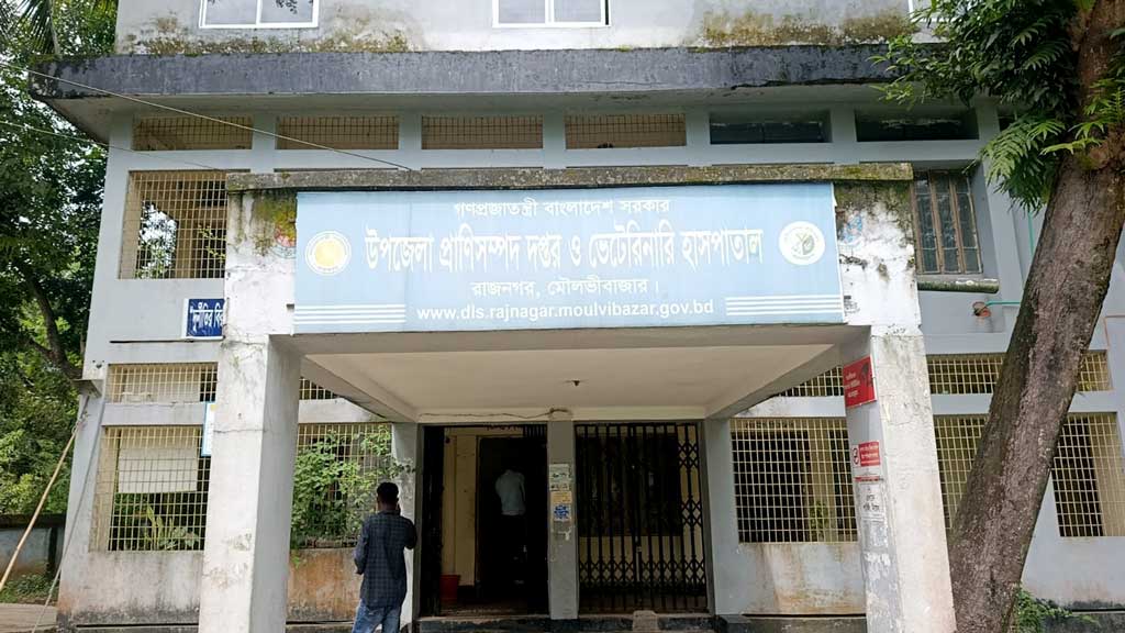 ভেটেরিনারি সার্জন নেই ছয় বছর, ব্যাহত পশুর চিকিৎসাসেবা