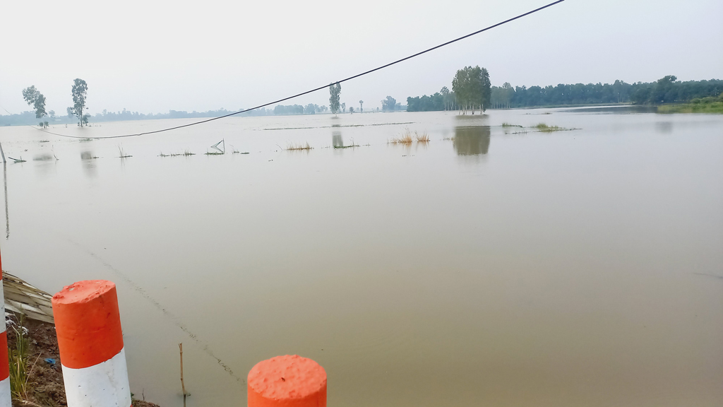 ডুবেছে ১৭ হাজার বিঘা জমির ধান, পানিবন্দী কয়েক হাজার মানুষ