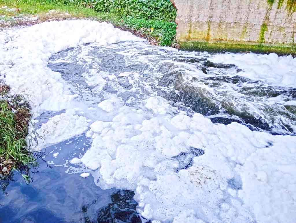 বিশ্ব নদী দিবস: স্বরমঙ্গলা-দয়া হারাল নগরে