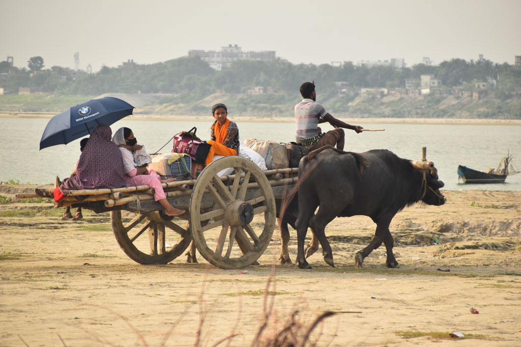 দিনের ছবি (১৫ জুন, ২০২৫)