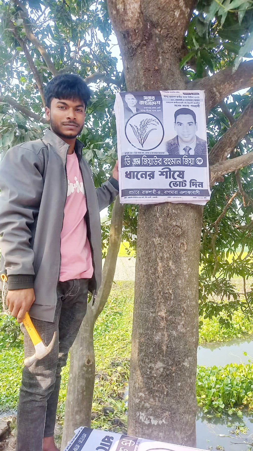 গাছে গাছে পেরেক ঠুকে বিএনপি প্রার্থীর পোস্টার