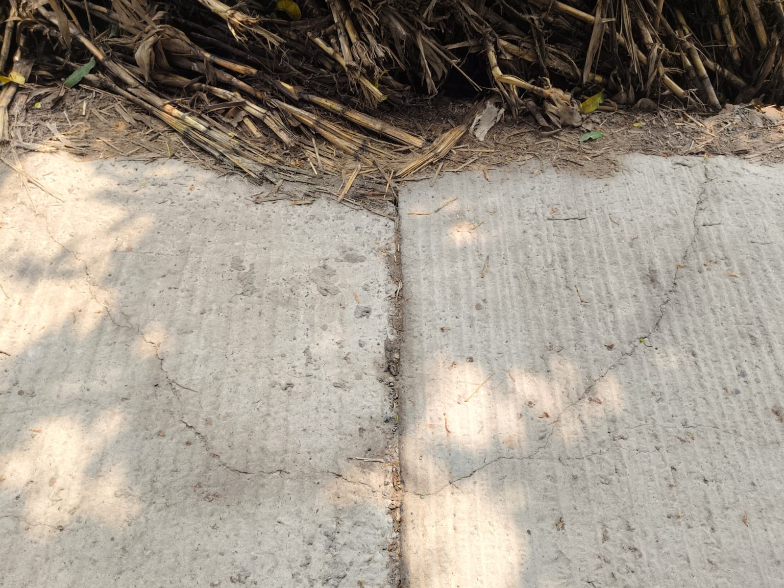 কাজ শেষ না হতেই ১৪ কোটি টাকার সড়কে ফাটল