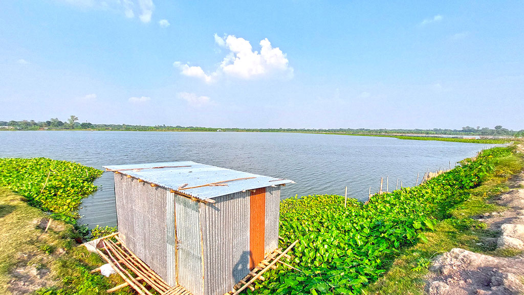 প্রভাবশালীদের বিল দখল, বিপাকে পাঁচ গ্রামের জেলে ও কৃষকেরা