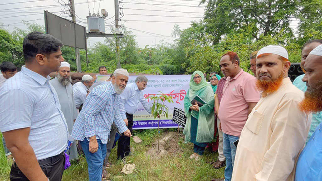 জুলাই যোদ্ধাদের স্মরণে বিএমডিএর আলোচনা সভা ও বৃক্ষরোপণ