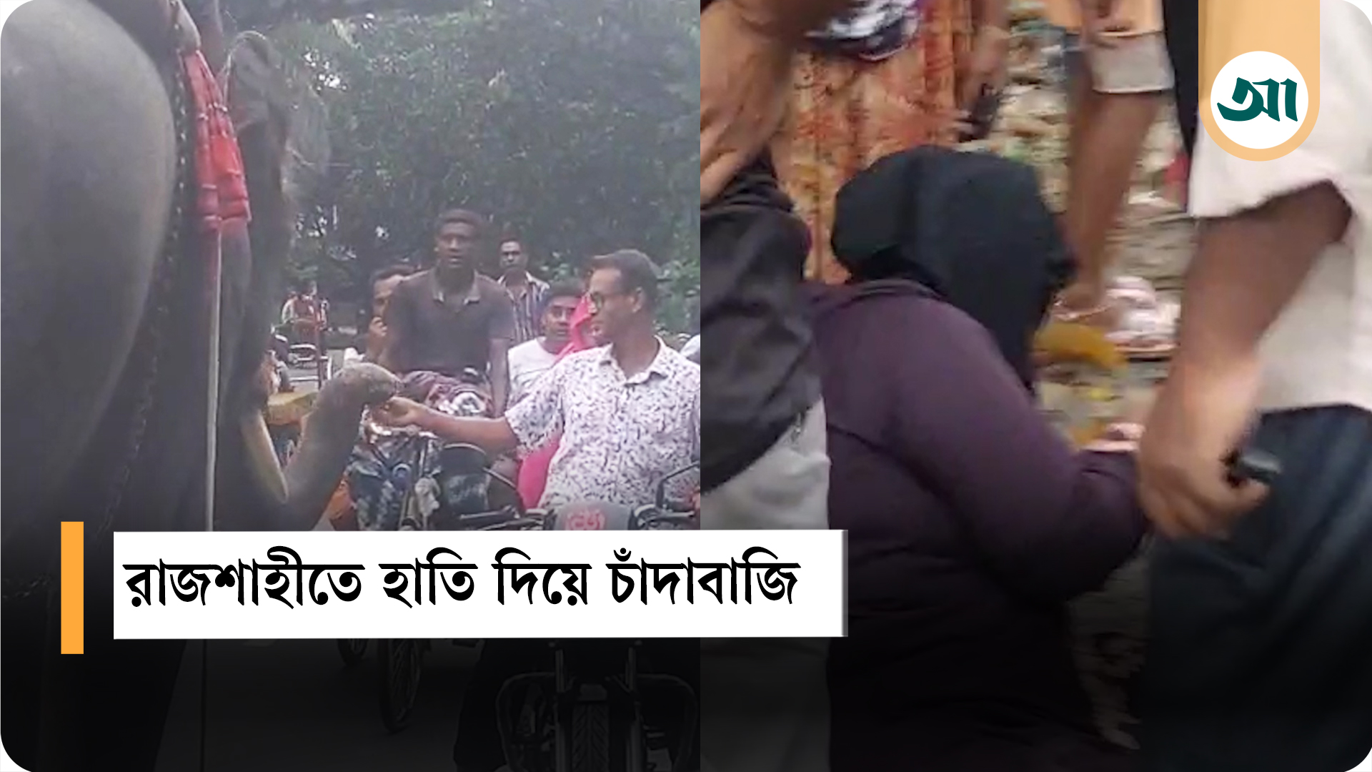 সড়কে হাতি দিয়ে চাঁদাবাজি, নারী ও শিশু আহত