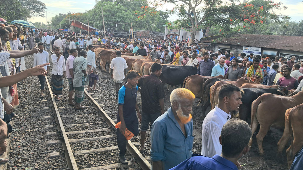 রেললাইনের ওপর বসেছে কোরবানির হাট, বড় দুর্ঘটনার শঙ্কা