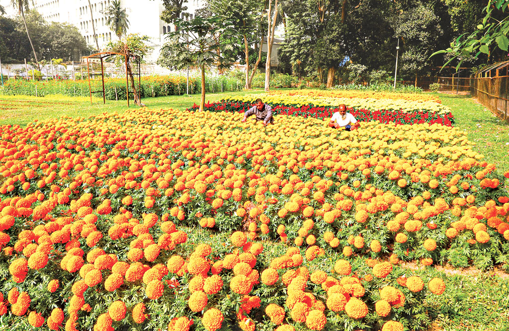 রমনা উদ্যানের কি সংস্কার সম্ভব