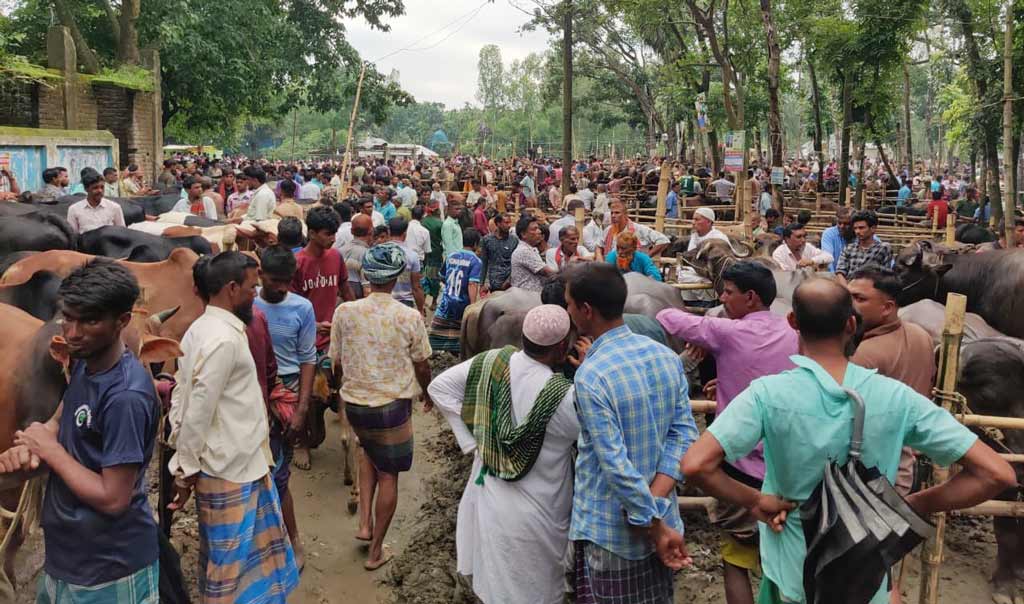 রৌমারী হাটে অতিরিক্ত হাসিল আদায়ের অভিযোগ, নীতিমালা লঙ্ঘনের দাবি
