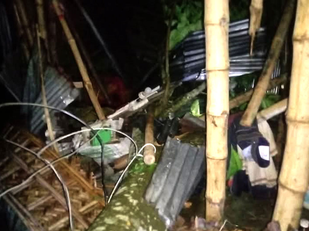 পীরগাছায় কালবৈশাখীতে গাছচাপায় শিশুর মৃত্যু