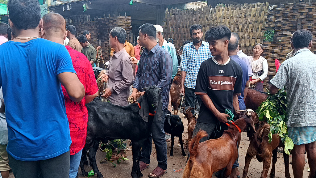 মনসা পূজা ঘিরে জমজমাট রাইখালী ছাগলের হাট, পাহাড়ি ছাগলের কদর বেশি