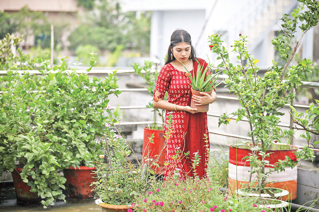 ছাদবাগান দেবে সবুজ ছায়া