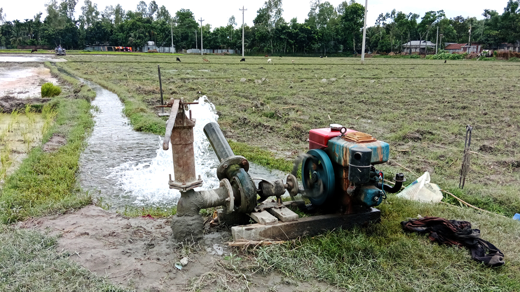 বৃষ্টি না থাকায় সেচে আমন রোপণ, খরচে বিপাকে পীরগাছার কৃষকেরা