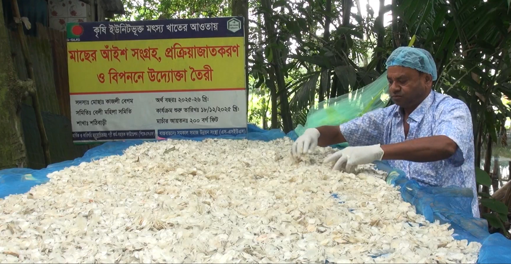 মাছের আঁশে নতুন সম্ভাবনা, বাড়ছে শ্রমিকদের আয়