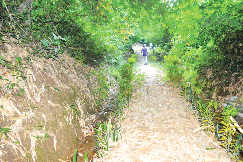 সুড়ঙ্গে যাওয়ার পথ