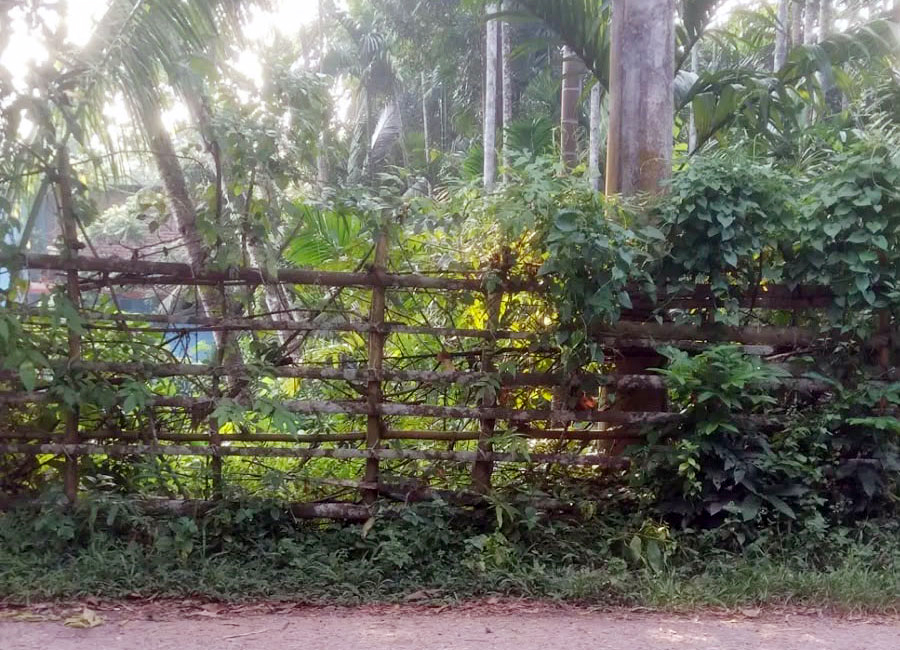 রায়পুরে সাংবাদিকের জমি দখলচেষ্টার অভিযোগে দুজনের বিরুদ্ধে গ্রেপ্তারি পরোয়ানা