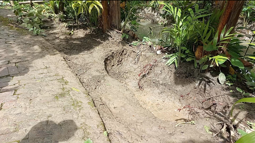 নিজের নার্সারির জন্য রাস্তার মাটি কেটে নিচ্ছেন কলেজশিক্ষক