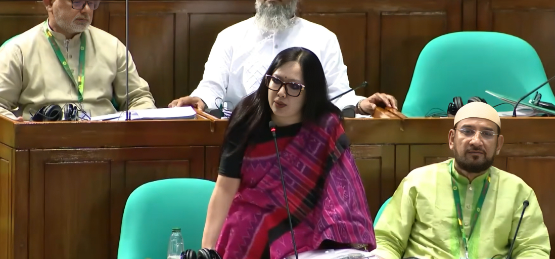 রাষ্ট্রপতি নিজের মতো ভাষণ দিতে পারেননি, ক্ষমতার ভারসাম্য কোথায়—প্রশ্ন রুমিন ফারহানার