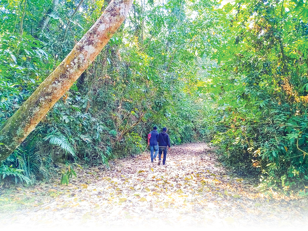 ঘুরে আসুন সাতছড়ি জাতীয় উদ্যান