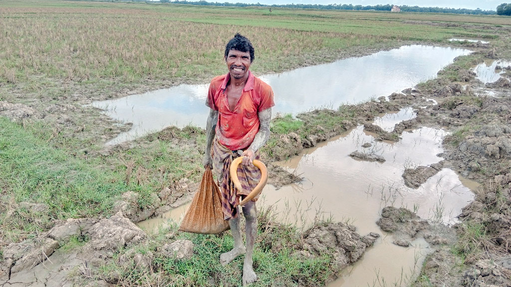 চা-বাগান ছেড়ে হাওরের কাদামাটিতে কুঁচিয়া শিকার
