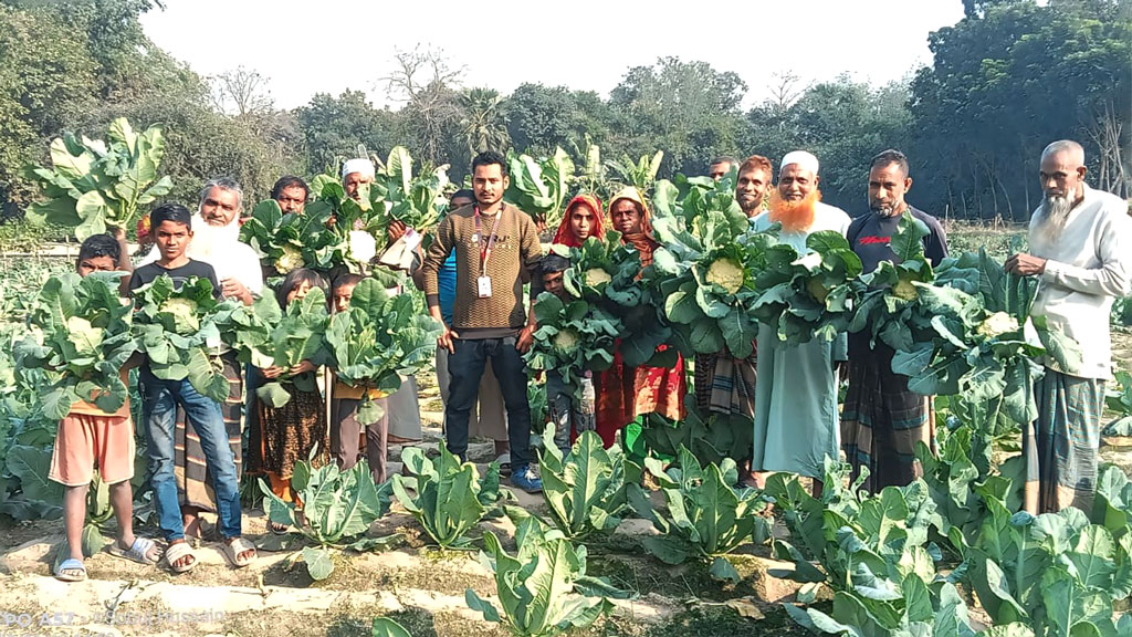 নওগাঁর ফুলকপিচাষিদের পাশে ‘স্বপ্ন’