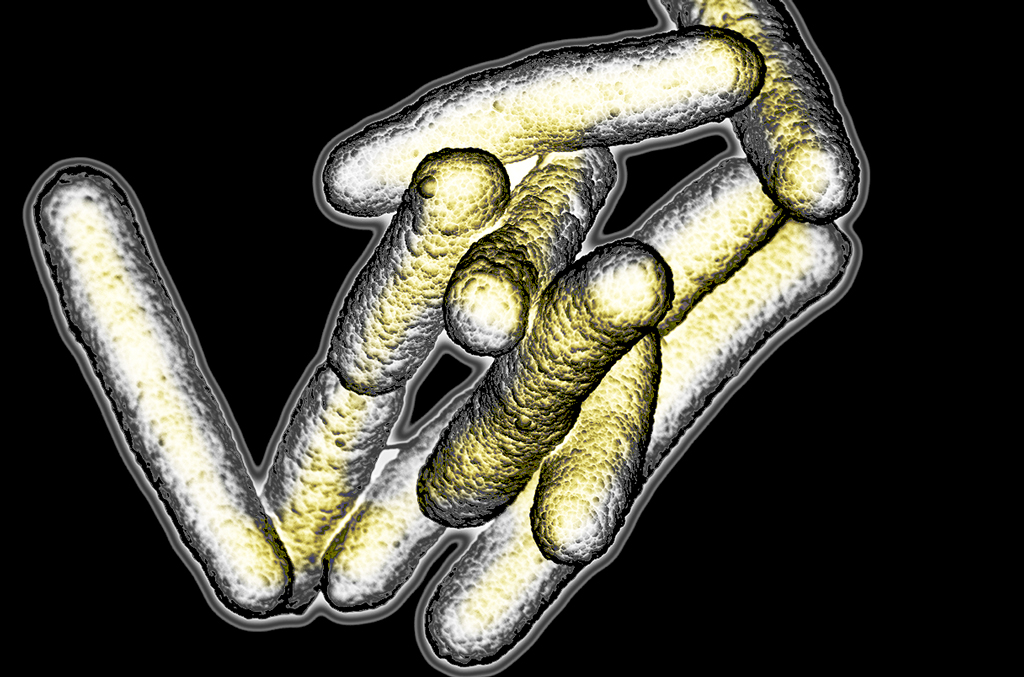 এক ফোঁটা মদ না খেয়েও মাতাল, সেই রোগের কারণ খুঁজে পেলেন গবেষকেরা