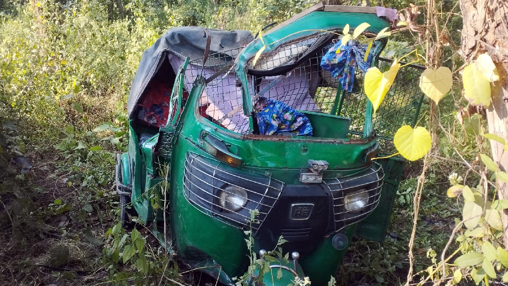 মেয়ের বাড়িতে যাওয়ার পথে প্রাণ গেল মায়ের