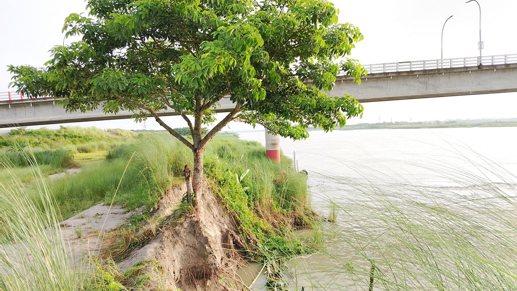 সেতুর কাছে ভাঙছে নদ