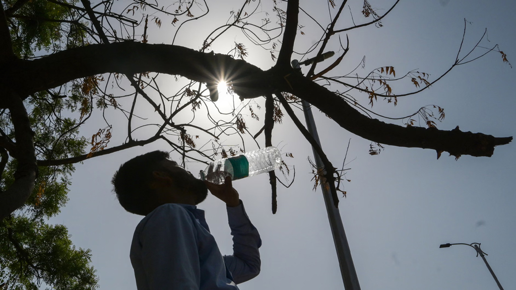 ১৩ লাখ মানুষের মৃত্যুর কারণ হতে পারে ট্রাম্পের জলবায়ুবিরোধী নীতি