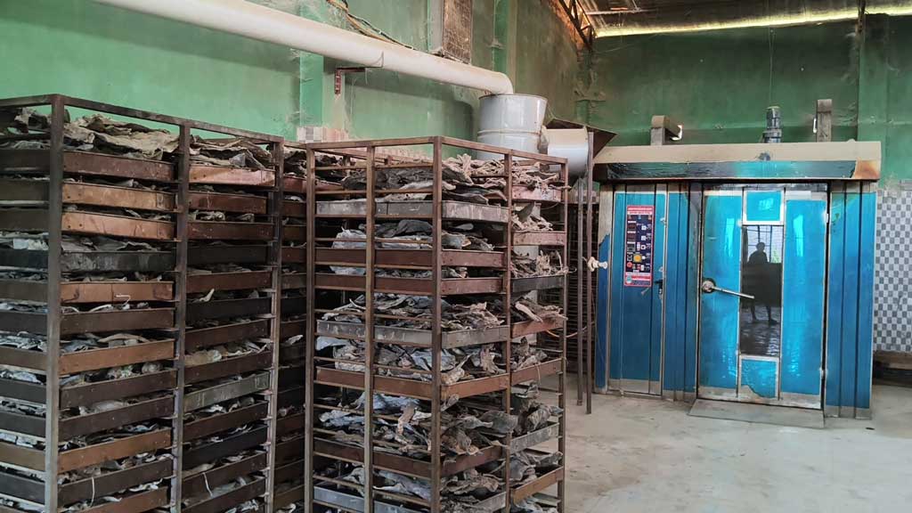 অনুমোদন ছাড়াই ঘনবসতিতে চামড়া পোড়ানোর কারখানা, ধোঁয়া-দুর্গন্ধে অতিষ্ঠ এলাকাবাসী