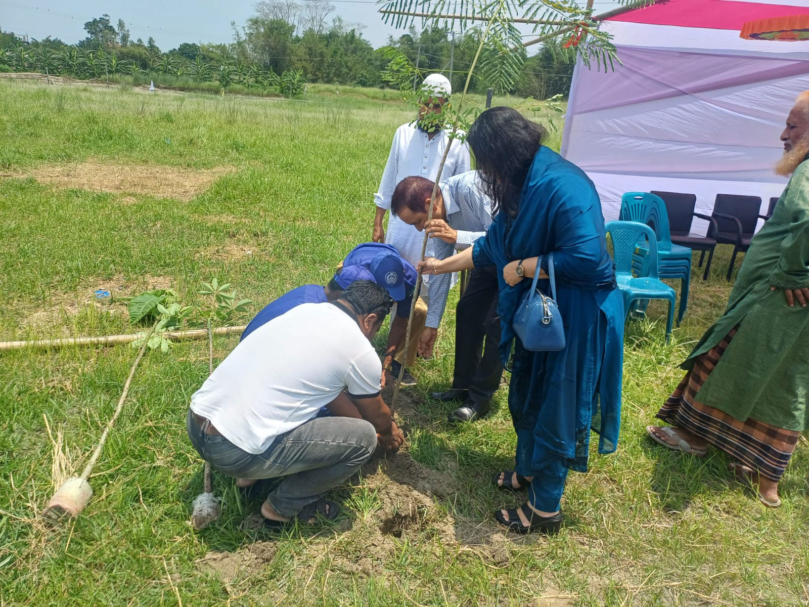 শিবচরে পদ্মাপাড়ে লাগানো হচ্ছে ১৩০০ চারাগাছ