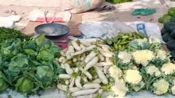 বিরামপুরে শীতের সবজির দাম কমেছে