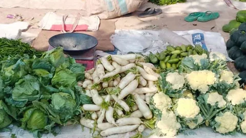 বিরামপুরে শীতের সবজির দাম কমেছে