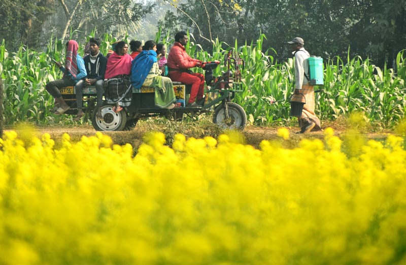 ভোর থেকেই কর্মযজ্ঞ শুরু হয় খেটে খাওয়া মানুষদের। জীবিকার তাগিদে ছুটে চলেন গ্রাম থেকে শহরে। ভটভটিতে চড়ে শহরে যাত্রা শুরু করেছেন কয়েকজন মানুষ। পবা উপজেলার দেওপাড়া ইউনিয়ন ফুলবাড়ী এলাকা, রাজশাহী, ২০ জানুয়ারি ২০২৫। ছবি: মিলন শেখ