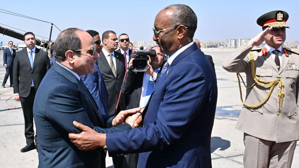 সুদান যুদ্ধে আমিরাতের বিপরীতে মিসর-তুরস্কের বিরল ঐক্য, ঢুকছে অস্ত্র ও ড্রোনচালক