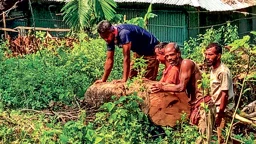 চট্টগ্রামের সীতাকুণ্ড: বন উজাড়ে নীরব রেল-বন বিভাগ