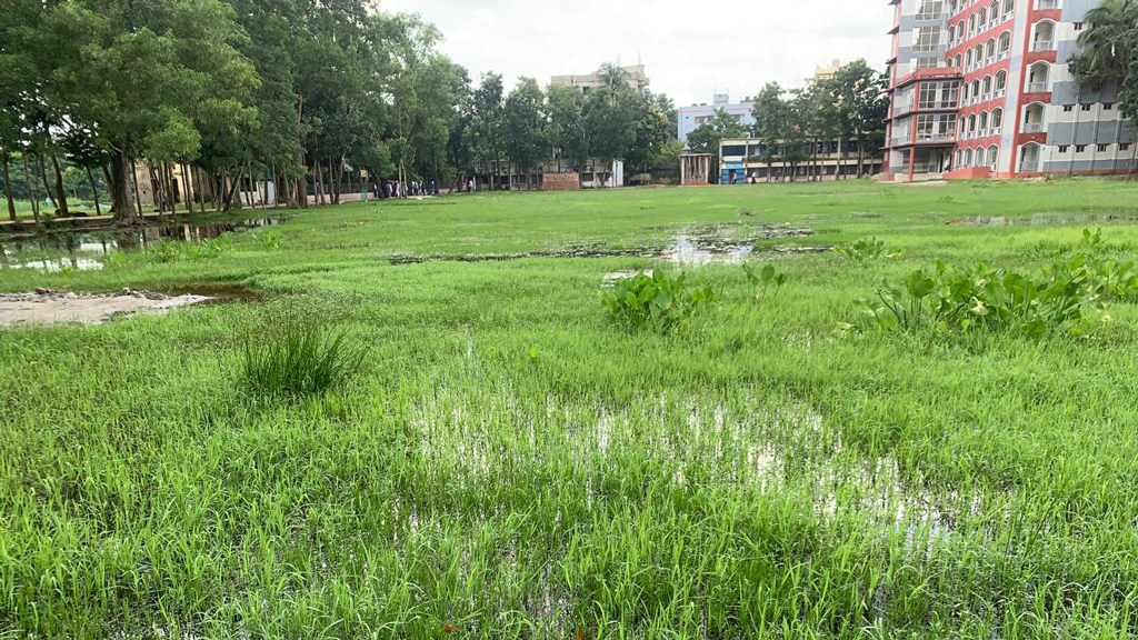 দেবিদ্বার সুজাত আলী সরকারি কলেজ মাঠ: জলাবদ্ধতায় বন্ধ খেলাধুলা