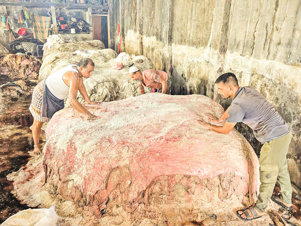 দেশের চামড়াশিল্পে সম্ভাবনা ও সংকট