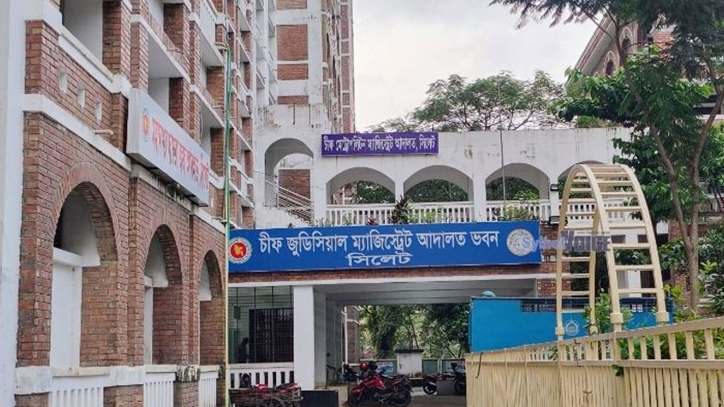 আদালত চত্বরে সাংবাদিকের ওপর সাদাপাথর লুটের মামলার আসামির হামলা
