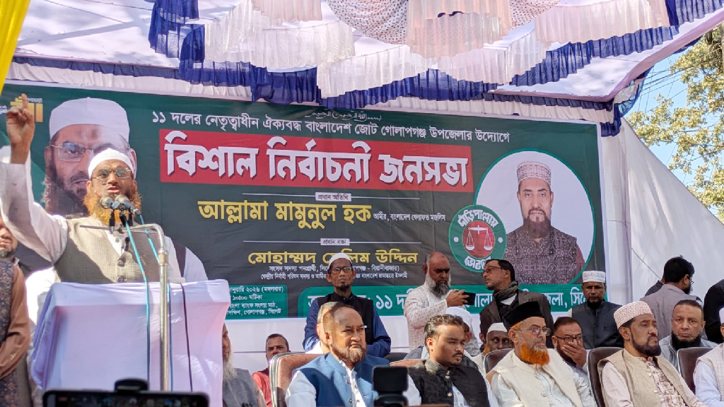 মানুষ দুর্নীতি ও সন্ত্রাসের অবসান চায়: মামুনুল হক