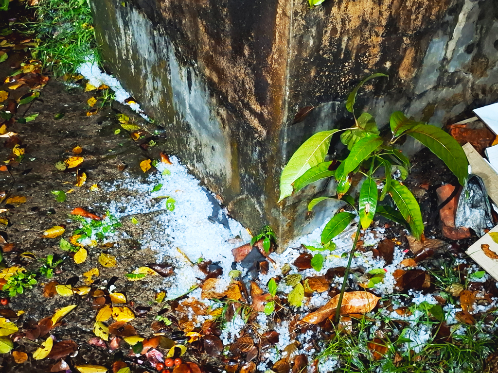 সিলেটে ১০ মিনিটের বৃষ্টিতেই শিলাস্তূপ, ফসলের ক্ষতির শঙ্কা