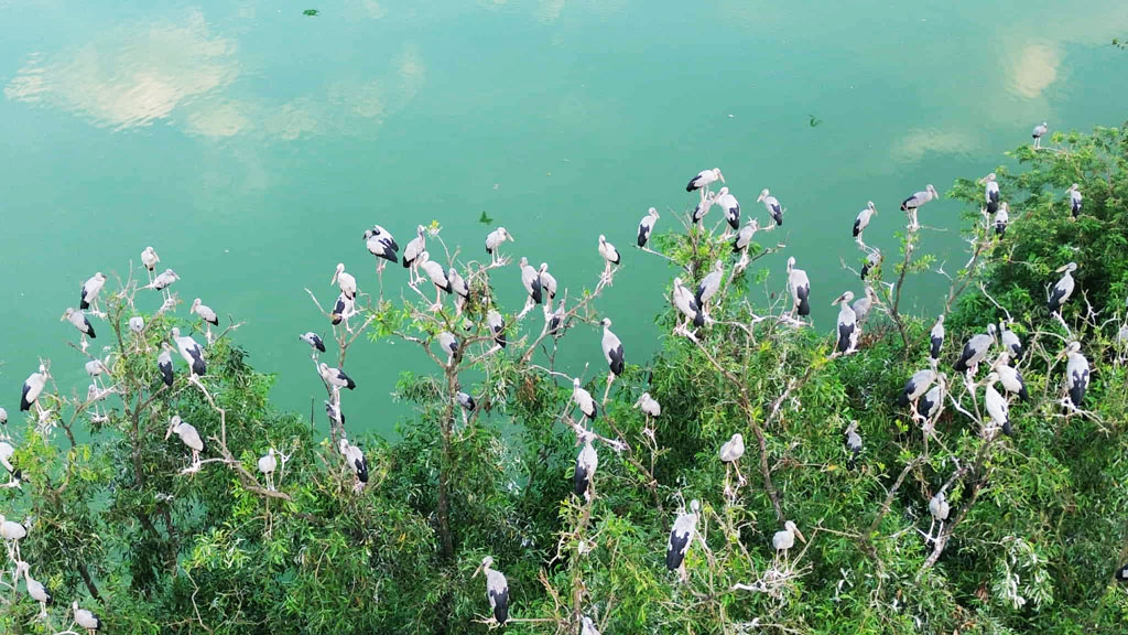 কলতানে মুখর শামুকখোলের দিঘিপাড়ের রাজ্য