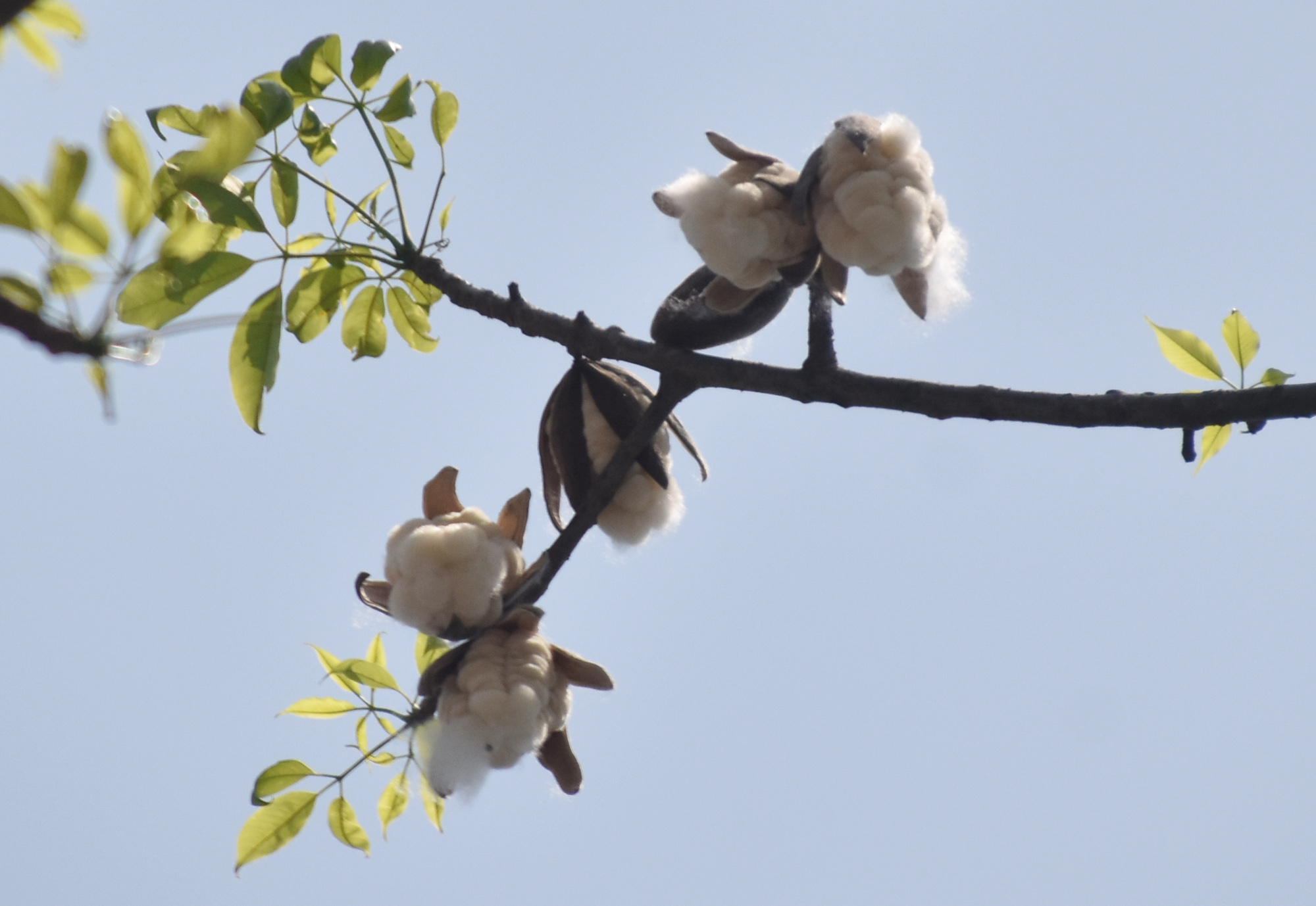দিনের ছবি (১৭ এপ্রিল, ২০২৬)