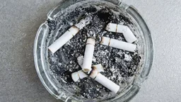 বিড়ি খেলে কি অজু ভেঙে যায়?