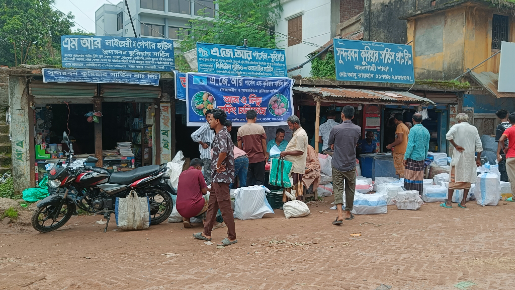 ক্রেতার কাছে পৌঁছানোর আগেই নষ্ট আম, সুন্দরবন কুরিয়ারের বিরুদ্ধে অভিযোগের পাহাড়
