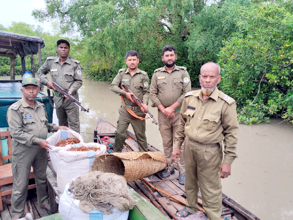 নিষেধাজ্ঞার মধ্যেও সুন্দরবনে মাছ শিকার, শুঁটকি-জাল-নৌকা জব্দ