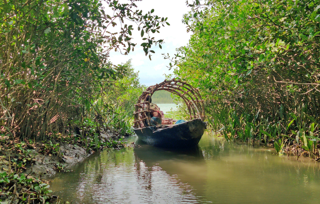 ঈদকে ঘিরে সুন্দরবনে সক্রিয় হরিণশিকারি চক্র, বনরক্ষীদের ছুটি বাতিল, রেড অ্যালার্ট জারি