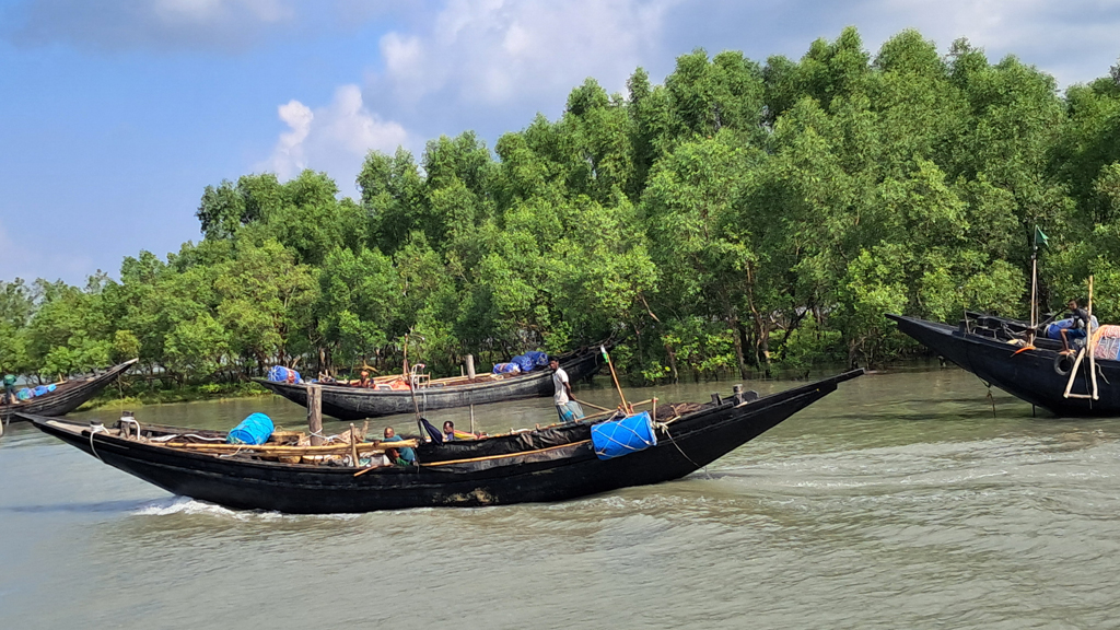 পূর্ব সুন্দরবনে ট্রলারসহ ১২ জেলে অপহরণ, দস্যুদের খোঁজে অভিযান