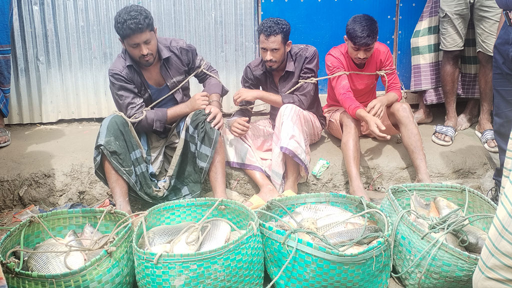 সোনাগাজীতে খামার থেকে মাছ লুট, ৩ জনকে পিটিয়ে পুলিশে সোপর্দ